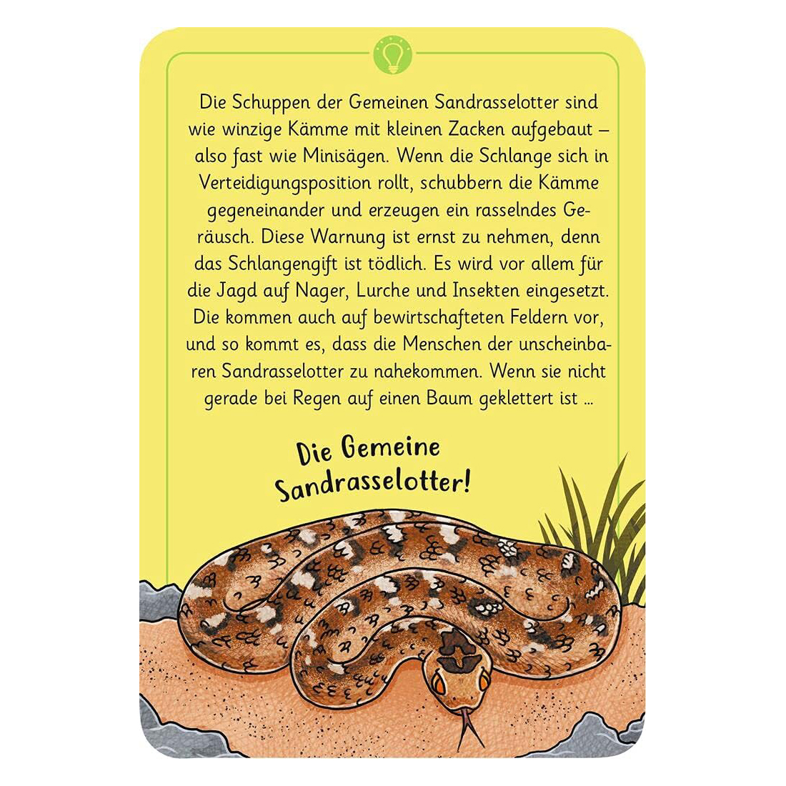 Expedition Natur - 50 wundersame Tierrätsel: Gefährliche Tiere – Bild 4