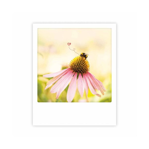 Bumble bee heart - Postkarte