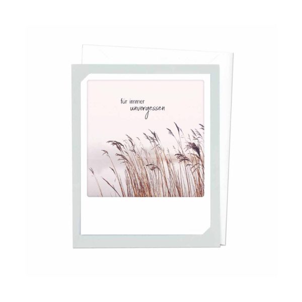 Für immer unvergessen Schilf - Klappkarte