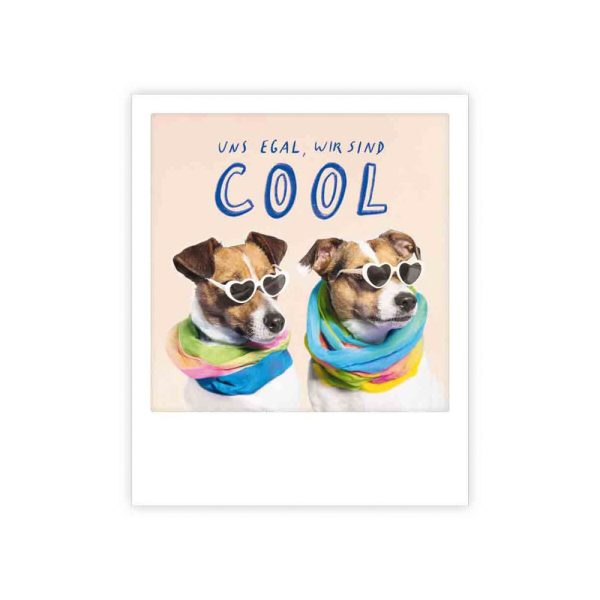 Uns egal, wir sind coole Hunde - Postkarte