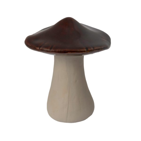 Pilz Braun - Skogsby