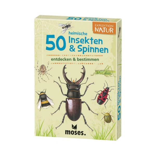 Expedition Natur - 50 heimische Insekten & Spinnen