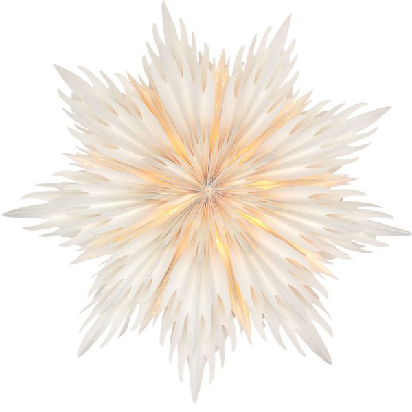 Stella-Rosalia - Weihnachtsstern