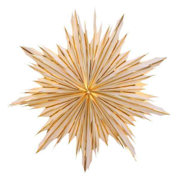 Stella-Viola - Weihnachtsstern