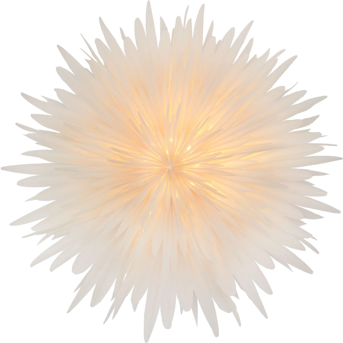 Stella-Dalia - Weihnachtsstern groß