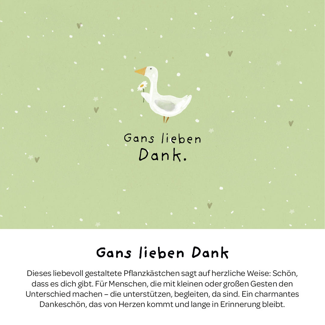 Gans lieben Dank - Pflanzkästchen – Bild 6