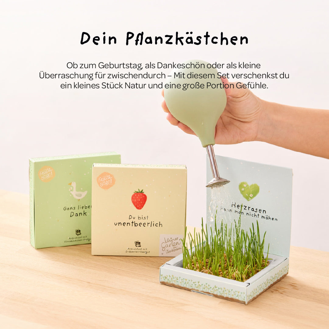 Gans lieben Dank - Pflanzkästchen – Bild 4