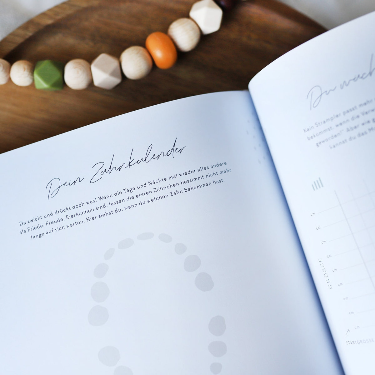 Our first year - Baby-Tagebuch – Bild 10
