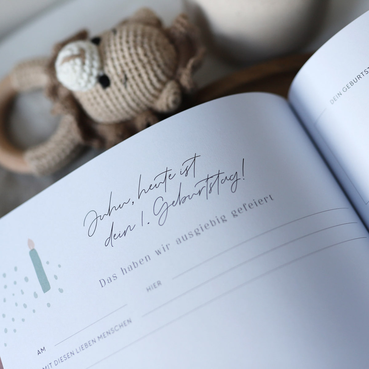 Our first year - Baby-Tagebuch – Bild 8